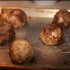 Top Recipes of 2011