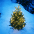 Our Merry Little Christmas