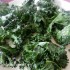 Kale Chips