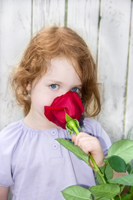Little girl smelling a rose