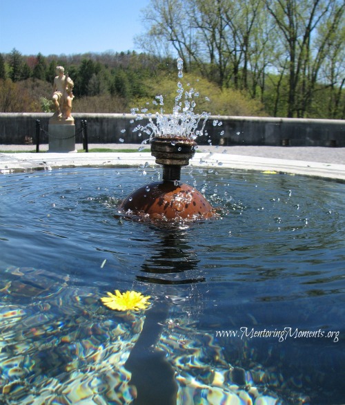 Water fountain with yellow flower floating in pool by Kellie Renfroe