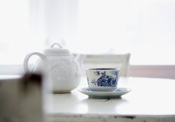 teacup