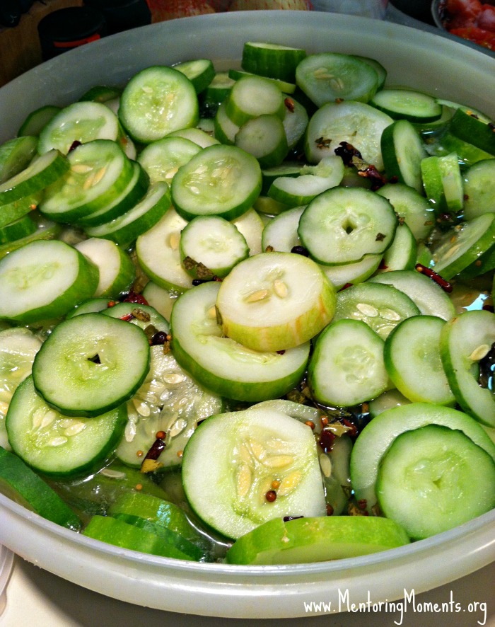 Bowl of sliced cucumbers covered with spices on day 2 of preparation.