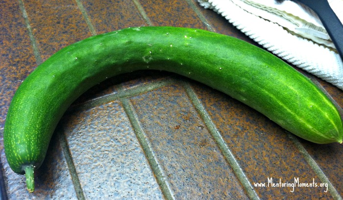 Large fresh garden cucumber.
