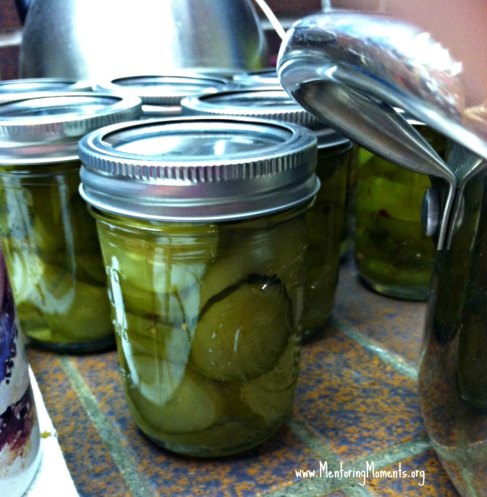 Canned 3 Day Sweet Pickles