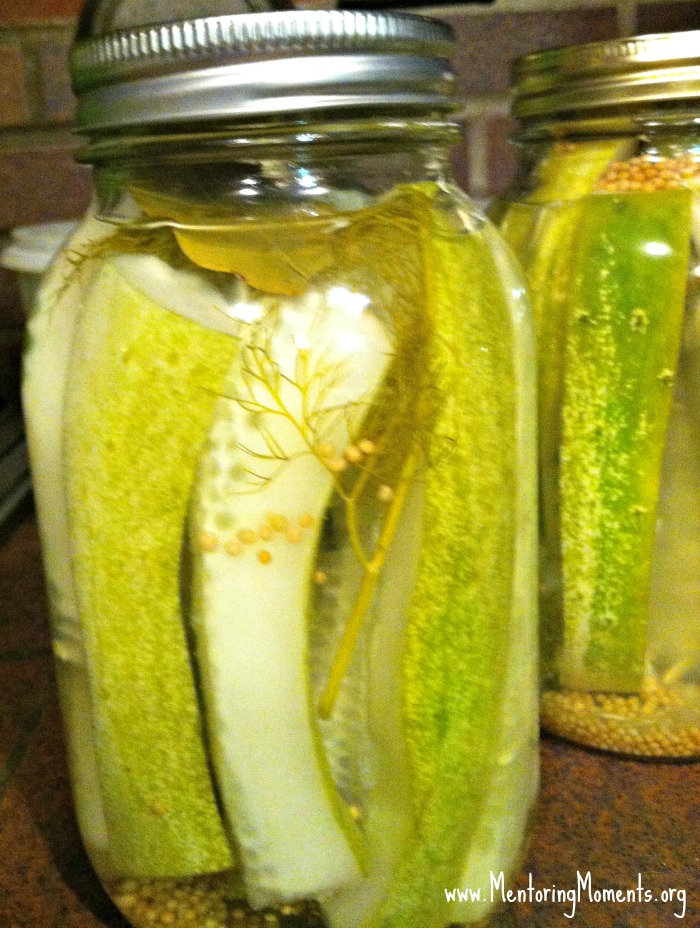 Canned dill pickles