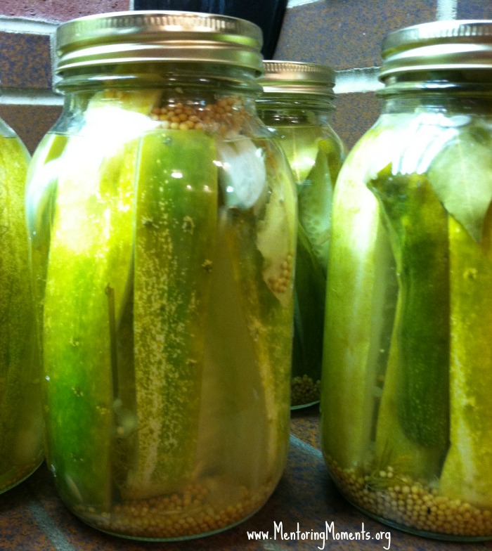 Canned dill pickles.