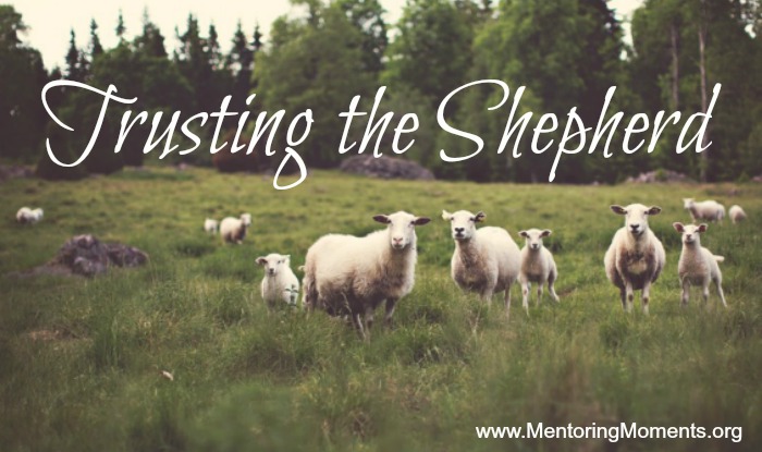 Trusting the Shepherd