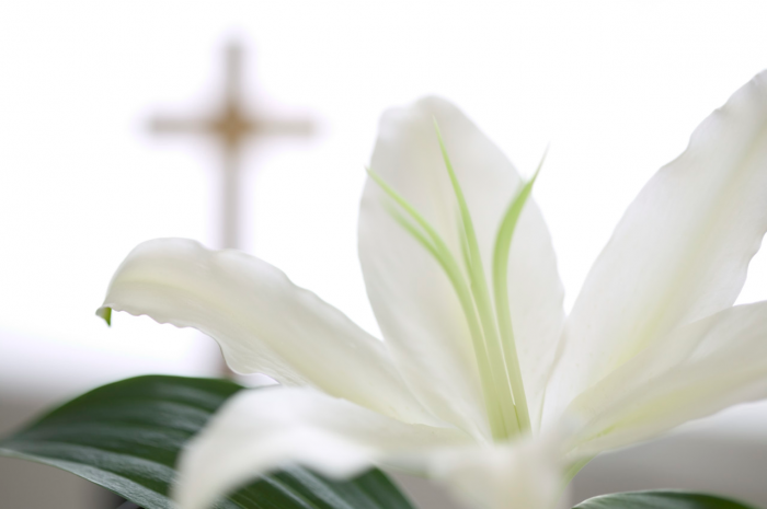 easter lily with cross