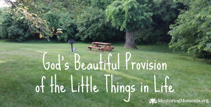 God's Beautiful Provision of the Little Things in Life / photo by Ginny Holcombe