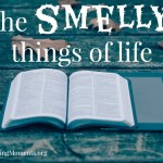 The Smelly Things of Life