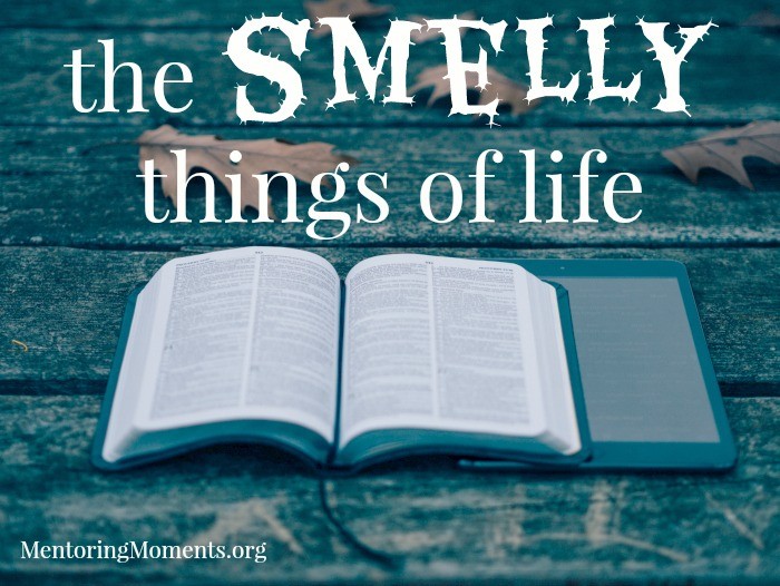 The Smelly Things of Life